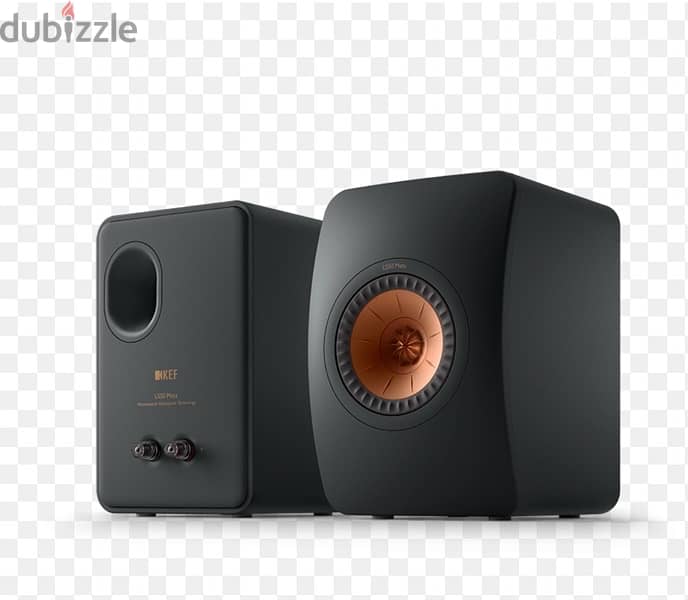 KEF Passive speaker 1