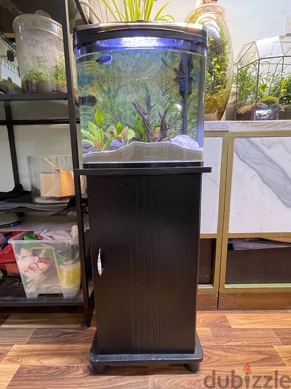 only aquarium for sale 1