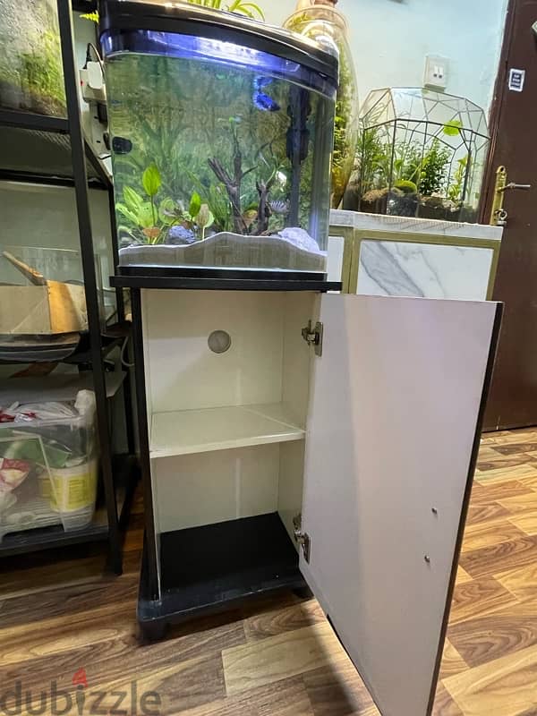 only aquarium for sale 2