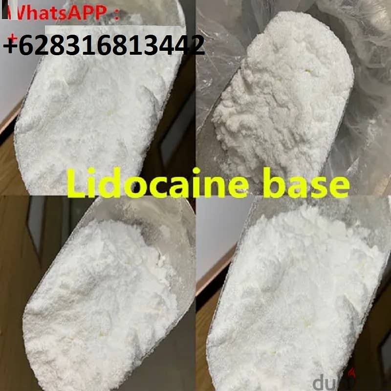 MOQ at least 1kg Bag Lidocaine Base Powder, Purity : 99% Original 0