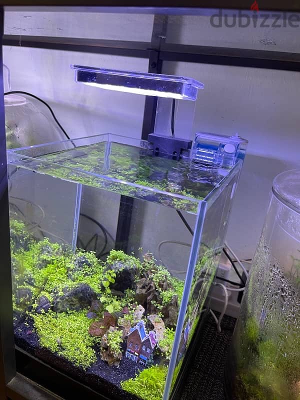 planted aquarium for sale 1