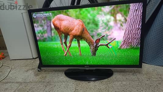 LED TV 32 INCH BENQ NEW CONDITION