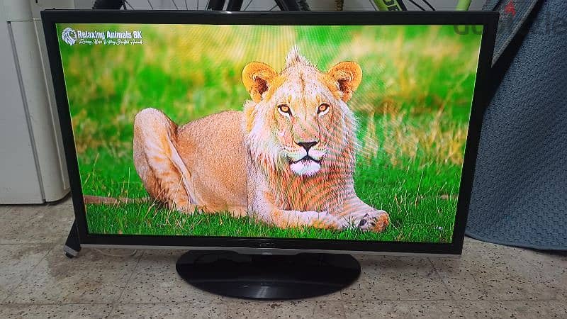 LED TV 32 INCH BENQ NEW CONDITION 1