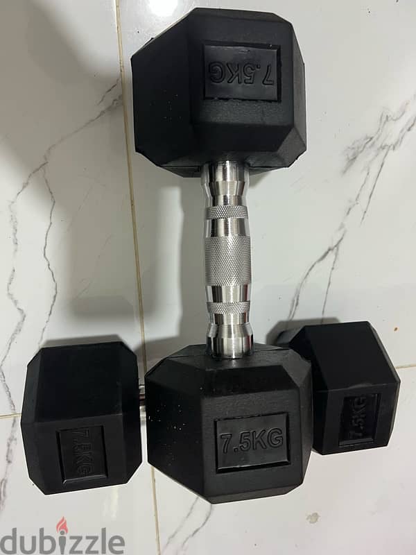 hex dumbbell new best quality and price free delivery 13