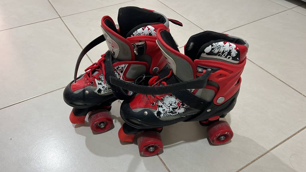 Skating Shoes 0