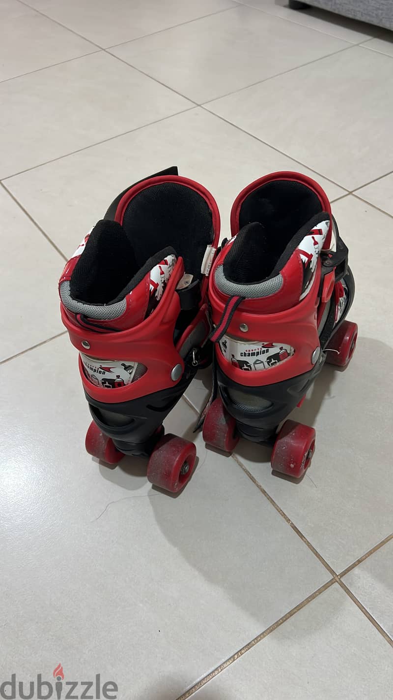 Skating Shoes 1