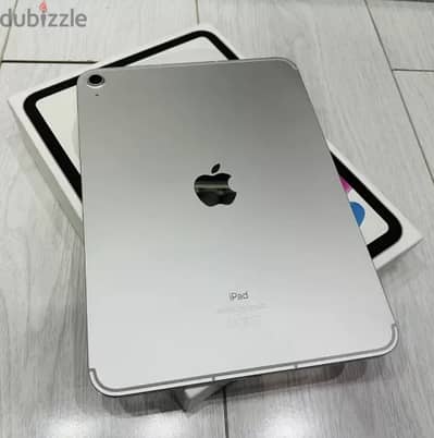 iPad