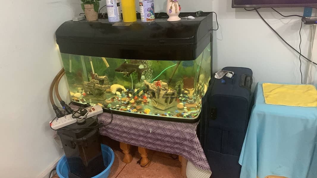 FISH TANK FOR SALE 2