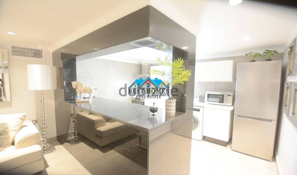 Spacious Studio Flat in Salwa 6