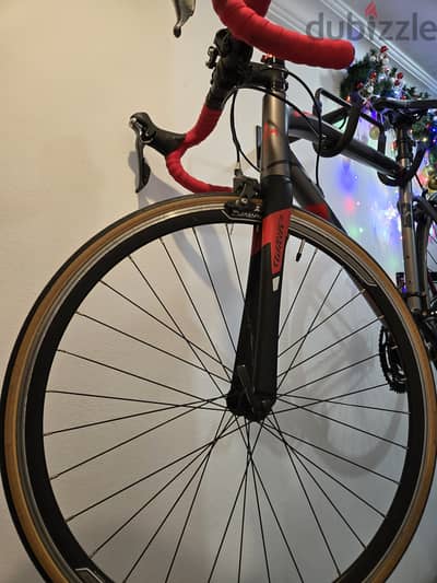 Wilier triestina