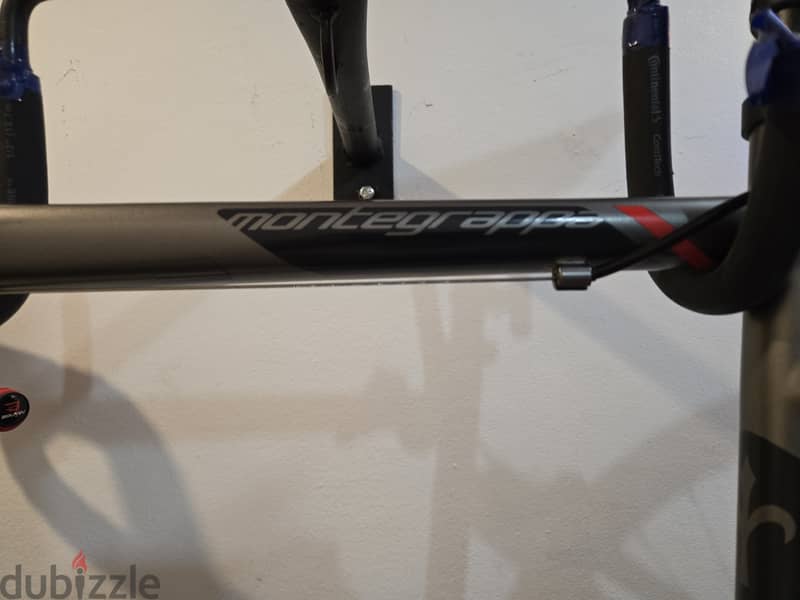 Wilier triestina 1