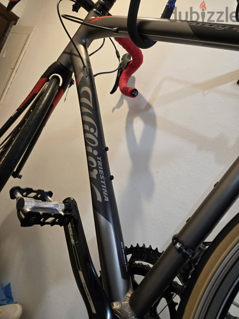 Wilier triestina 2