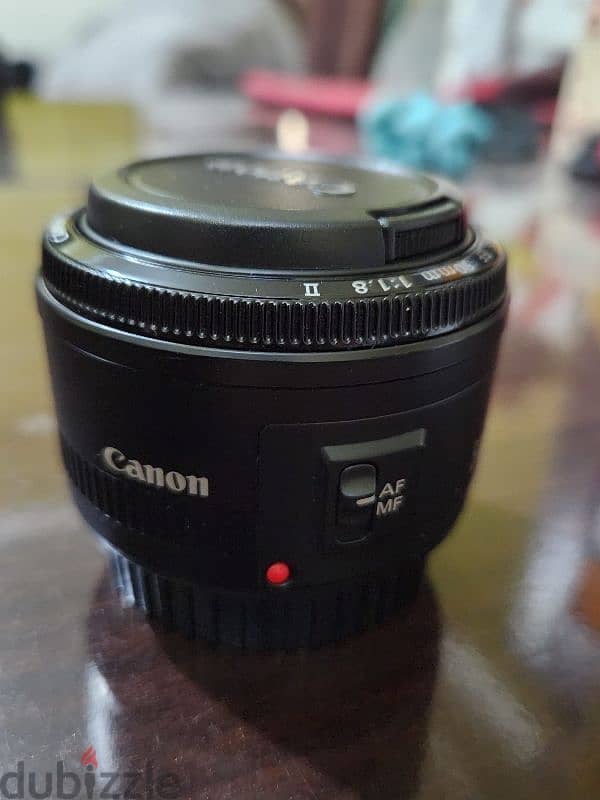 Canon EOS 650D with main lens and 50mm macro lens  كانون EOS 650D 8