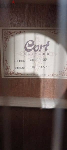 cort classic guitar 2