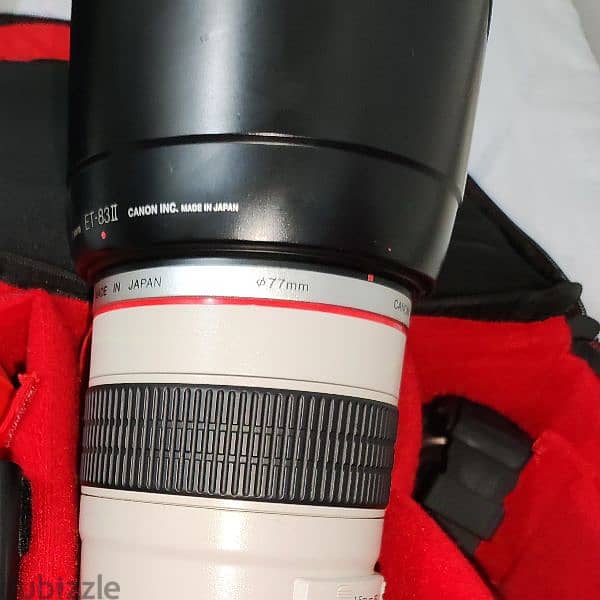 70-200mm F2.8L USM mark i 2