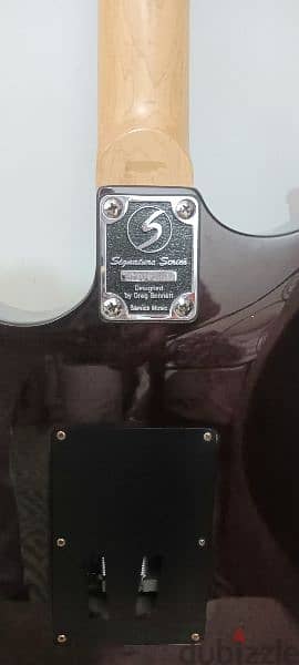 signature series electric guitar 2