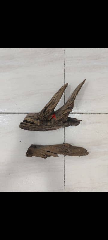 original wood from india