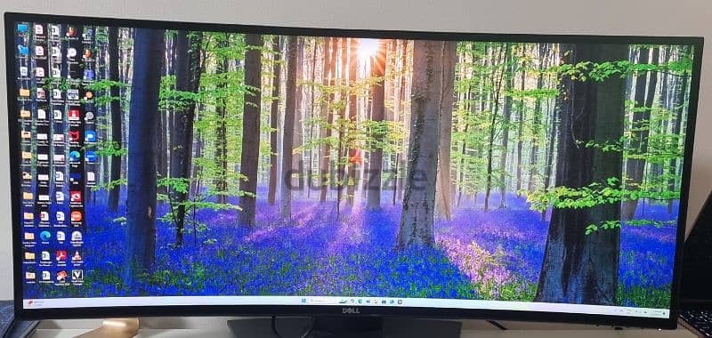 DELL 34 Inch Curved Monitor with Excellent Resolution 2