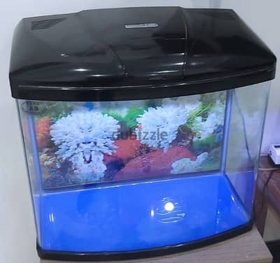 Fish Tank - Aquarium For Sale