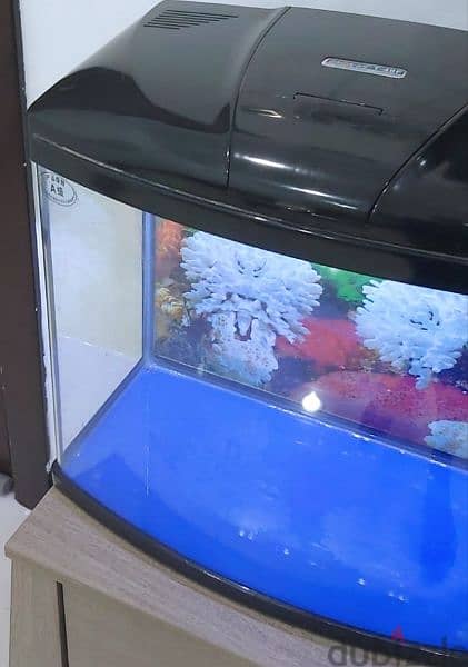 Fish Tank - Aquarium For Sale 1