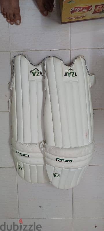 Cricket kit bag along with batting pads, helmet,gloves etc. 0