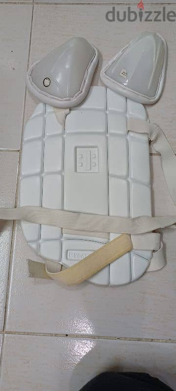 Cricket kit bag along with batting pads, helmet,gloves etc. 2