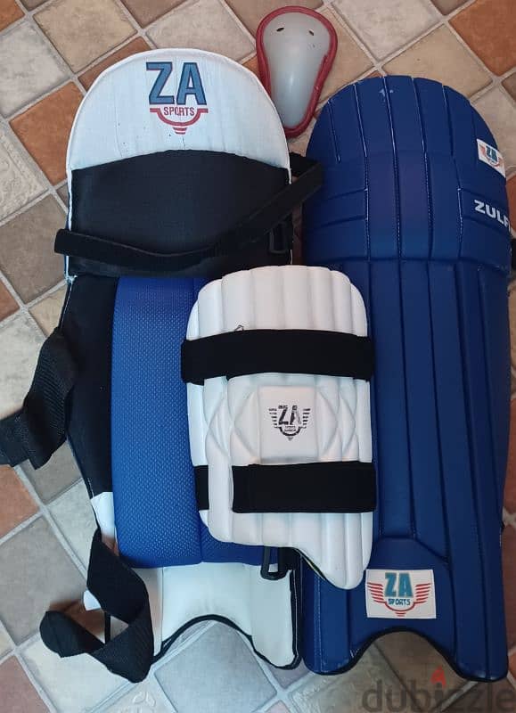 Cricket kit bag along with batting pads, helmet,gloves etc. 7