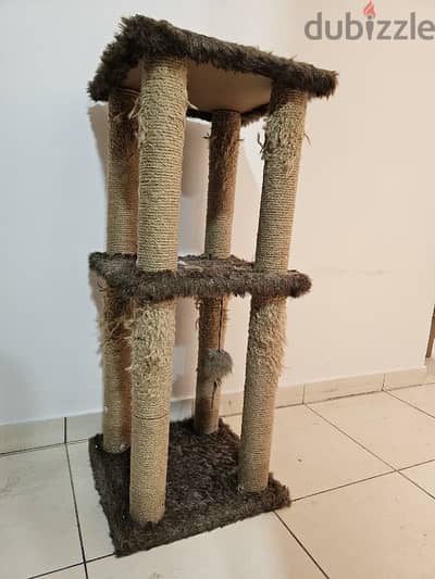 cat scratching post