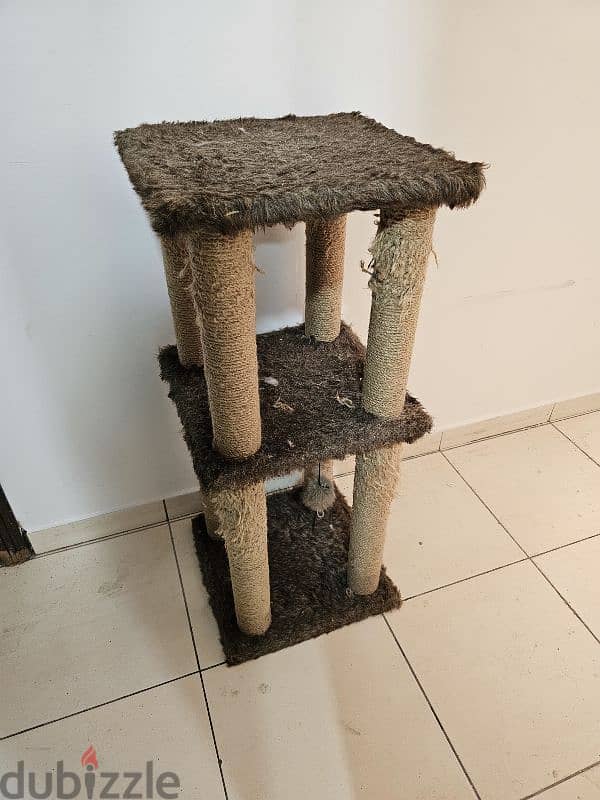 cat scratching post 1