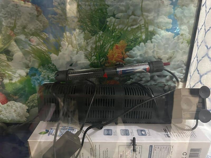 A fish tank with 5 mt tube. 3