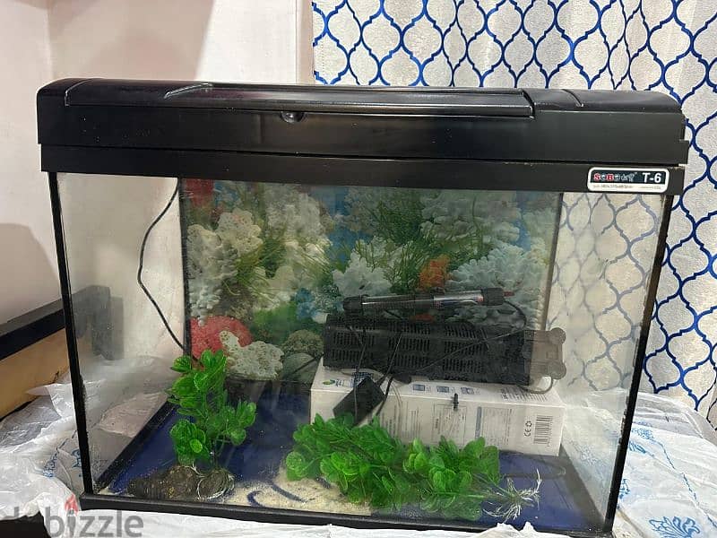 A fish tank with 5 mt tube. 5