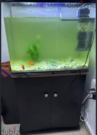 fish tank