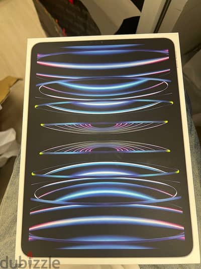 iPad Pro 11'' 2022 4ª Gen 2TB