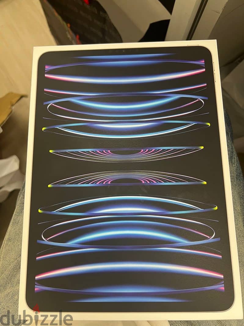 iPad Pro 11'' 2022 4ª Gen 2TB 0