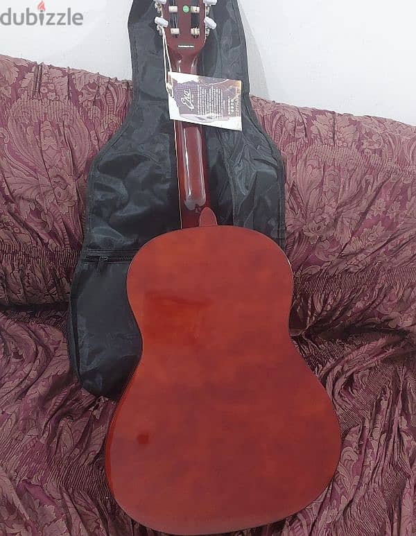 EKO Guitar 6 Strings 3/4 1