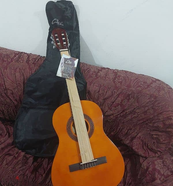 EKO Guitar 6 Strings 3/4 5