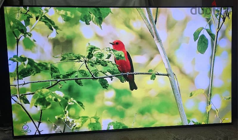 samsung 70 inch 4k smart uhd led tv very good condition 1