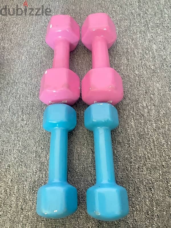 pair of 2 and 4 kg dumbbell 1