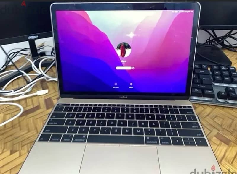 apple mac book ratina  or exchange offers 2