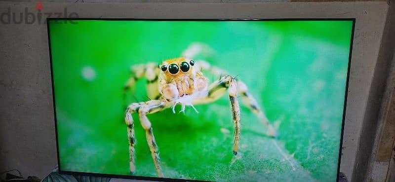 android smart TV 65 inch 4k UHD wansa 5