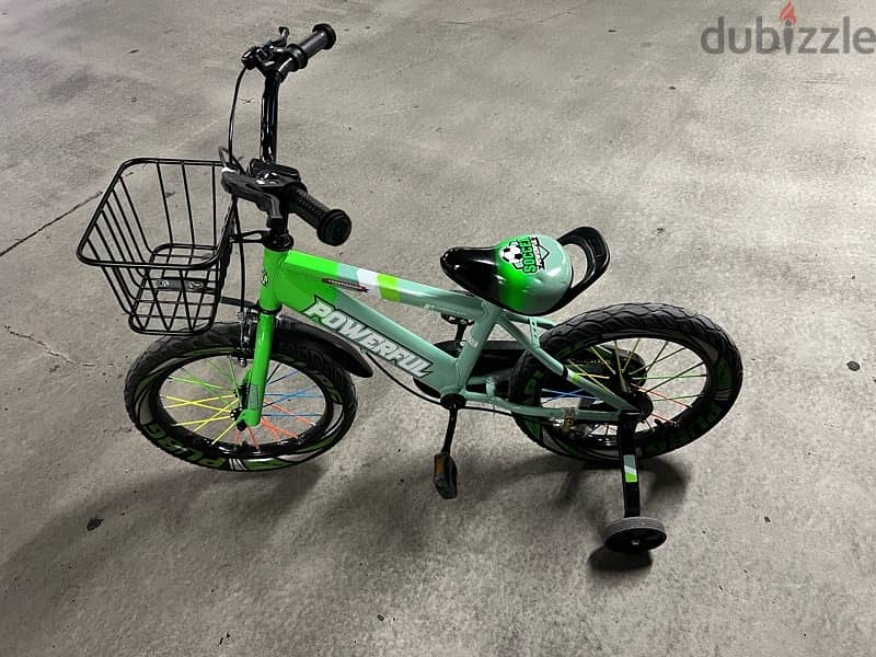 Low Use Bike for Kids 1