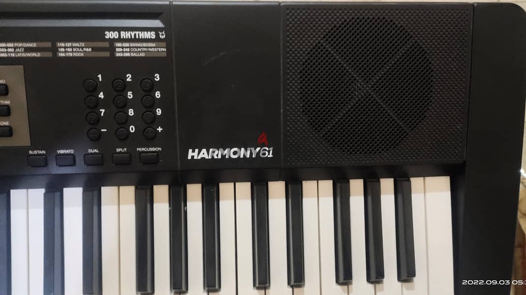 ALESIS Harmoney 61 Musical keyboard for sale 1