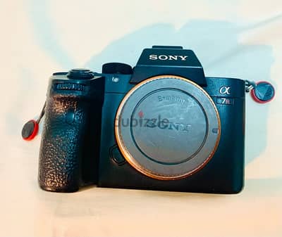 Sony a7riii/ Battery grip