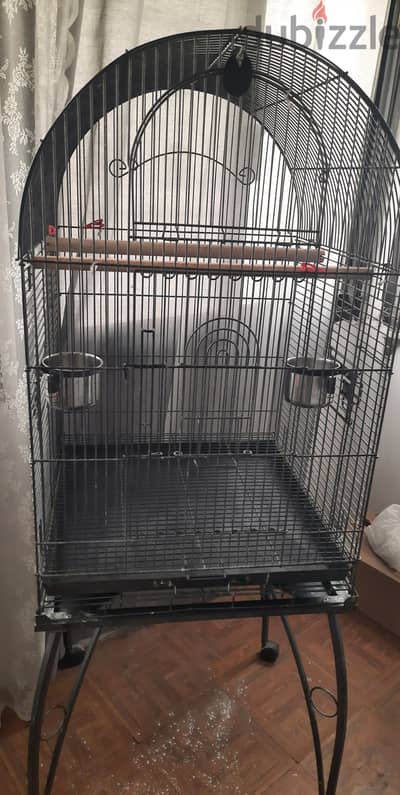 Big  Birds cage 4 sale