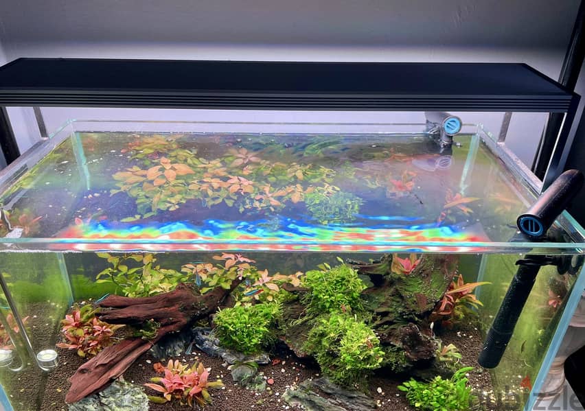 Aquasacpe system 60*30 cm 2