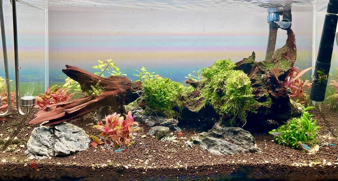 Aquasacpe system 60*30 cm 4