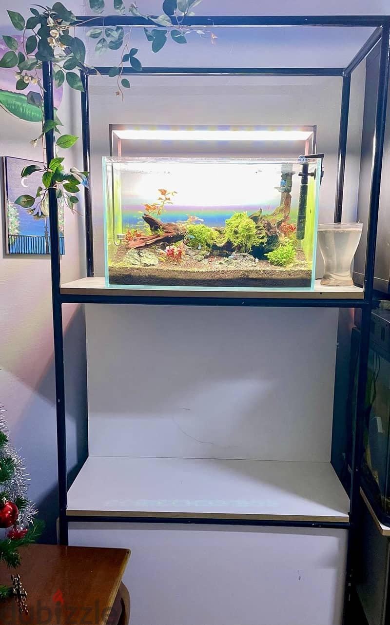 Aquasacpe system 60*30 cm 5