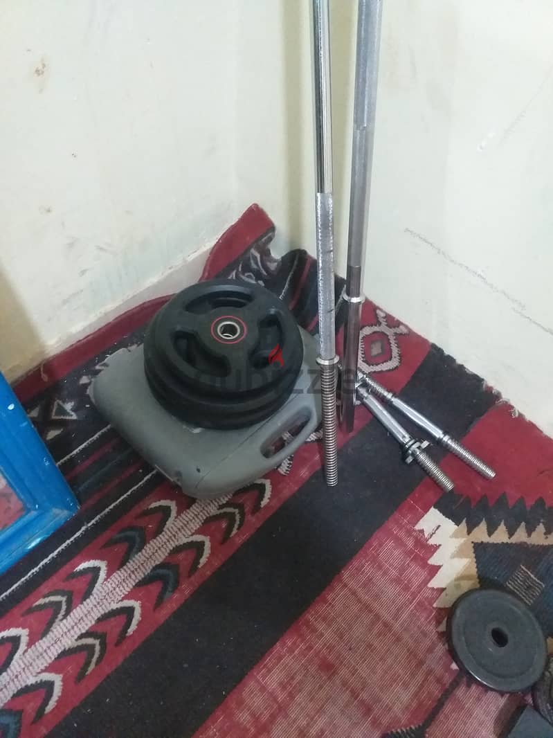 GYM EQUIPMENTS 2