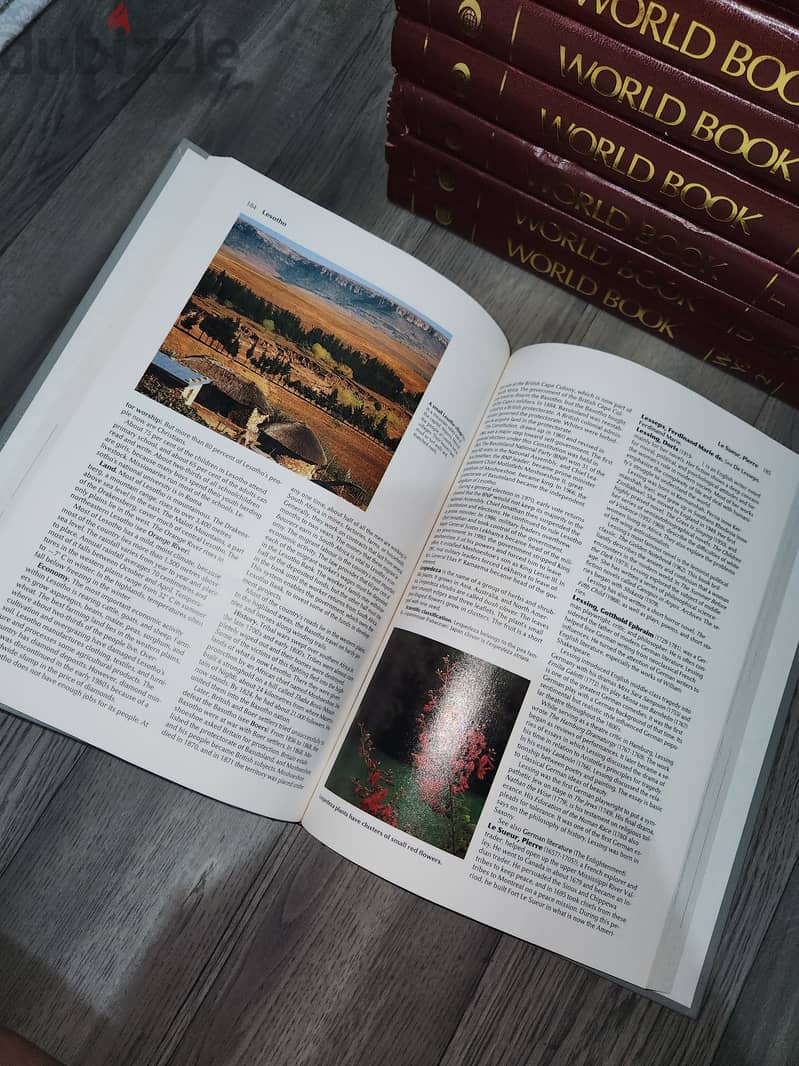 The World Book Encyclopedia (International version) 6