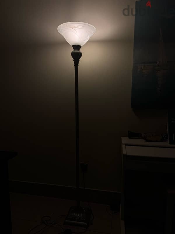 Electric Lamp 1